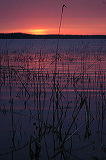 Закат на Ясском озере